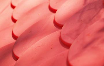 Caldecott plastic roof costs